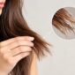 hair split ends causes treatment guide 85x85